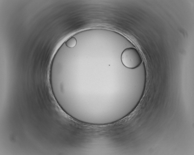 X0000115820912200911131103