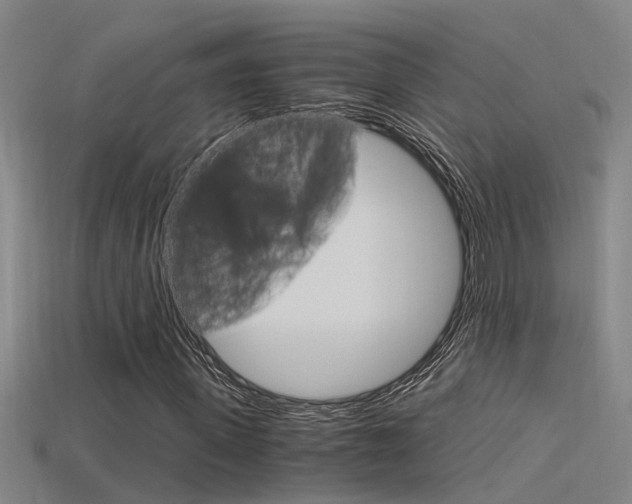 X0000115820915200911131103