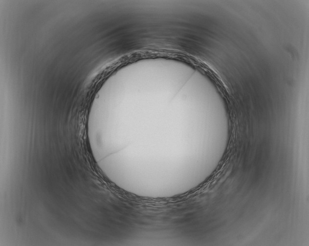 X0000115820919200911131103
