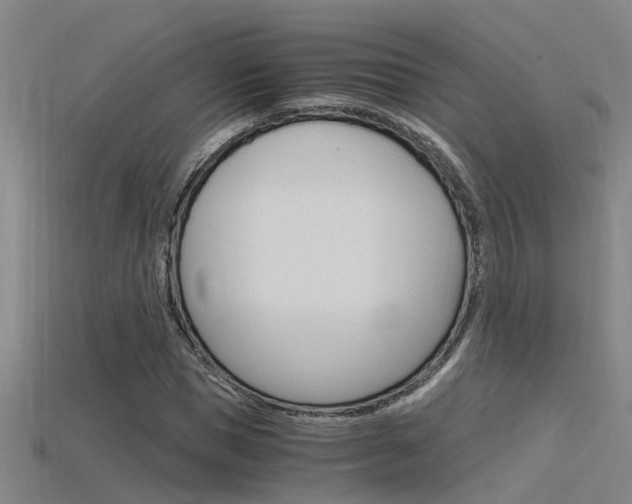 X0000115820921200911131103