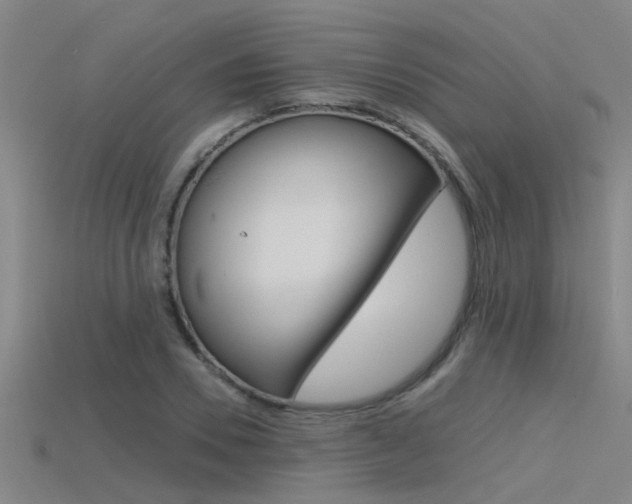 X0000115820930200911131103