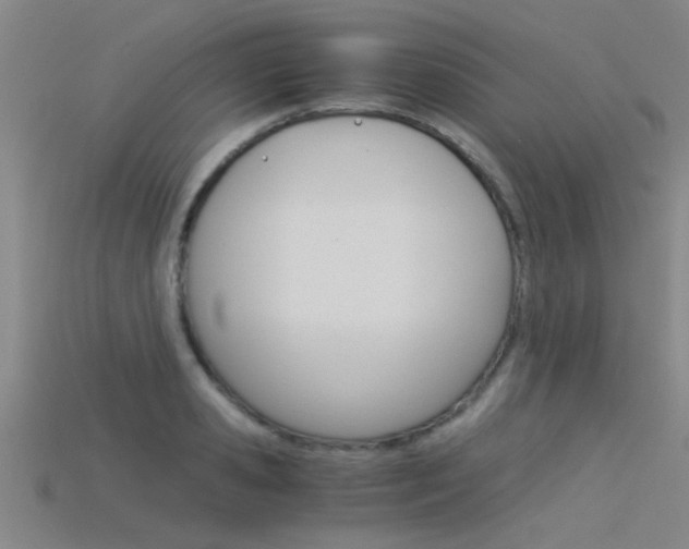 X0000115820941200911131103