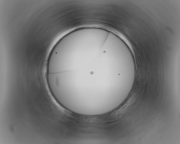 X0000115820951200911131103