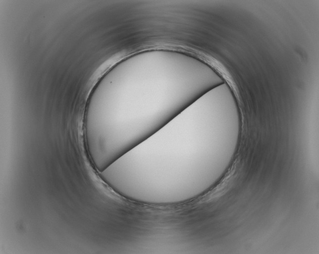 X0000115820954200911131103