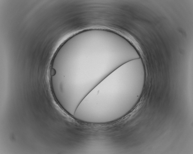 X0000115820958200911131103