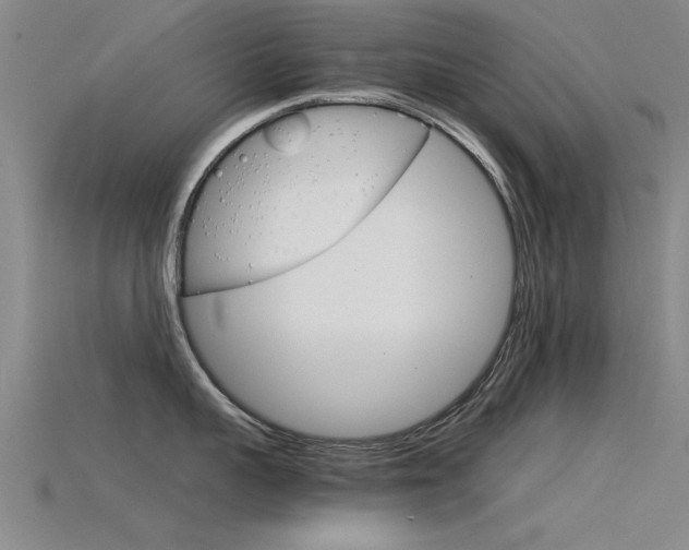 X0000115820959200911131103