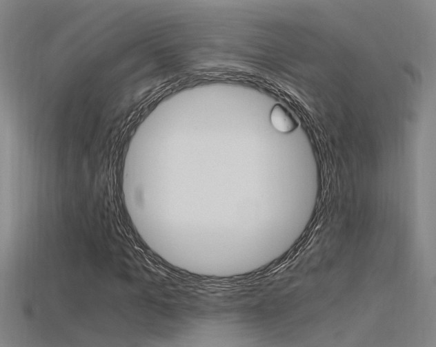 X0000115820965200911131102