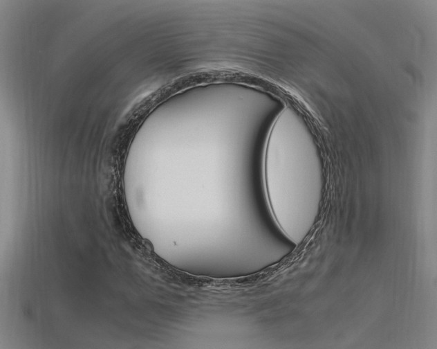 X0000115820967200911131102