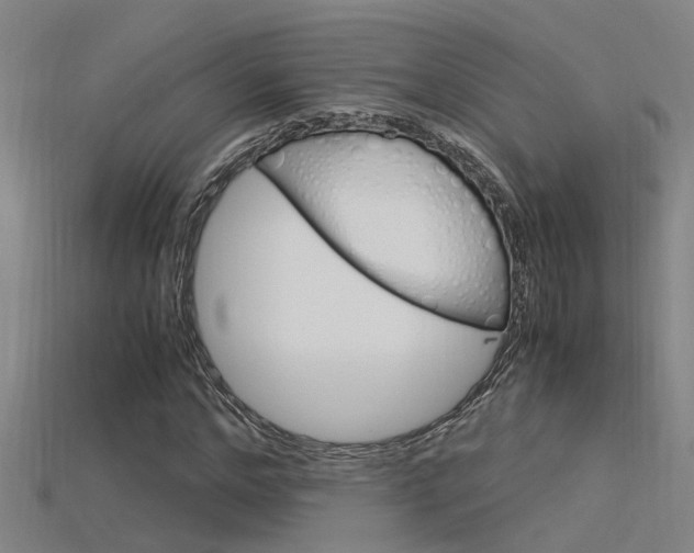 X0000115820968200911131102