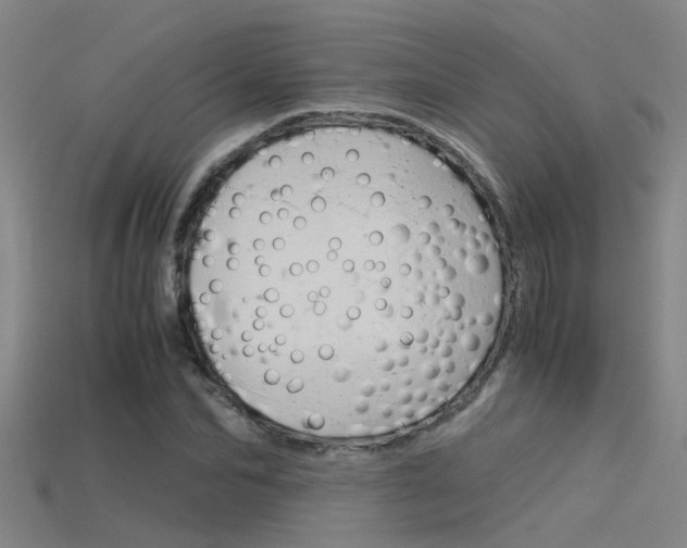 X0000115820974200911131102