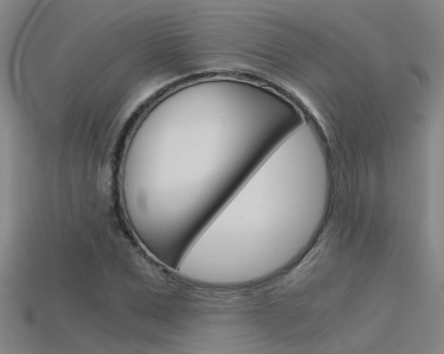 X0000115820975200911131102