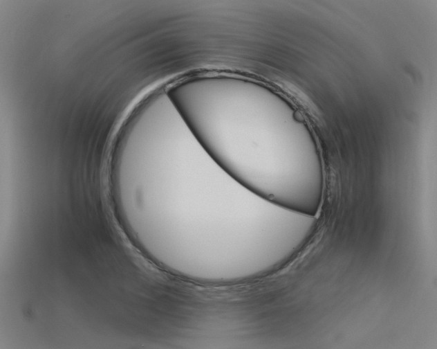 X0000115820976200911131102