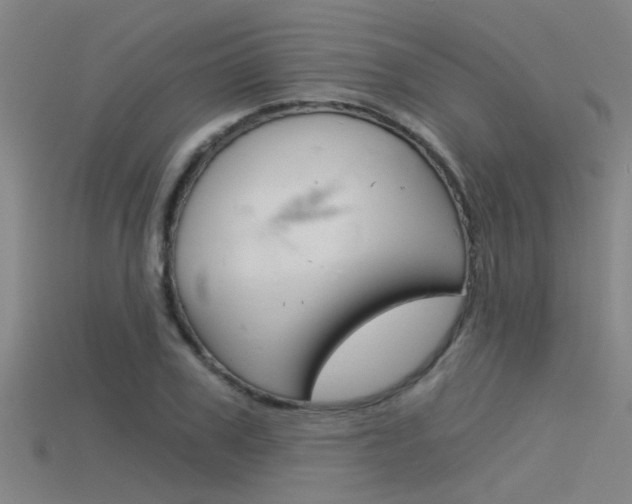 X0000115820979200911131102