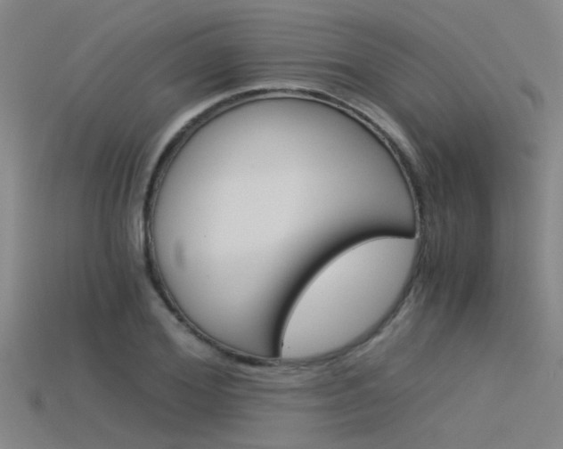X0000115820980200911131102