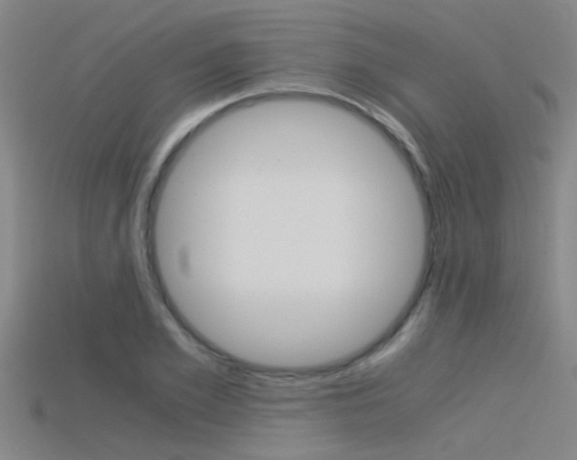 X0000115820981200911131102