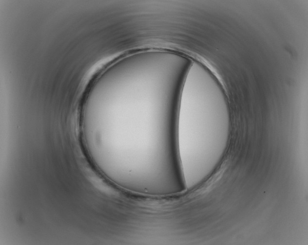 X0000115820987200911131102