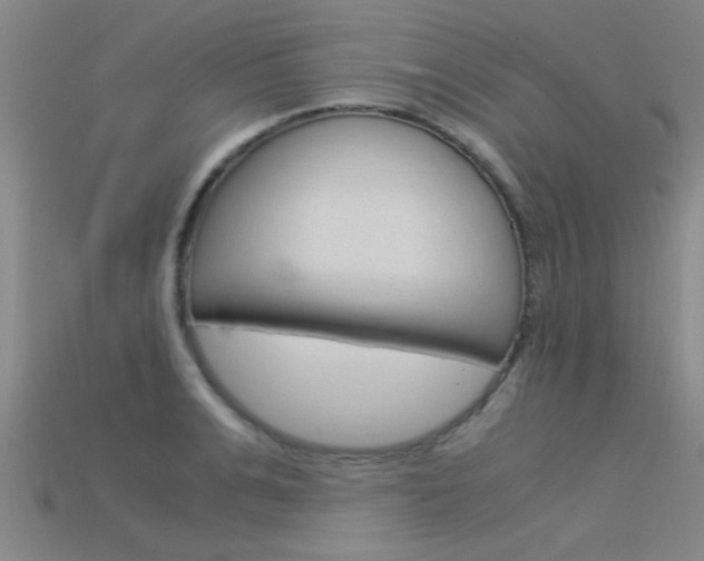 X0000115820991200911131102