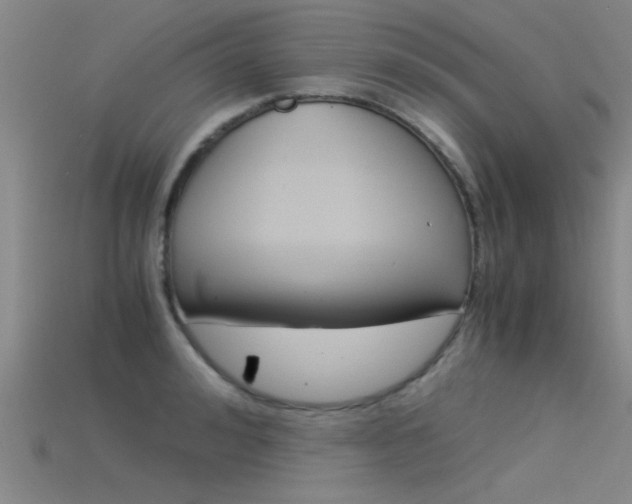 X0000115820992200911131102
