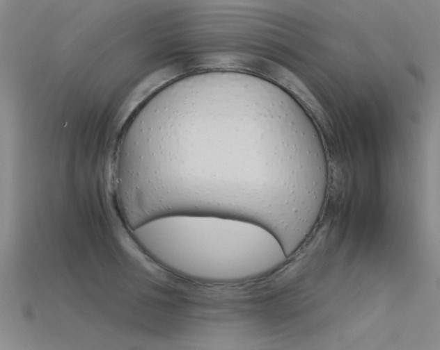 X0000115820994200911131102
