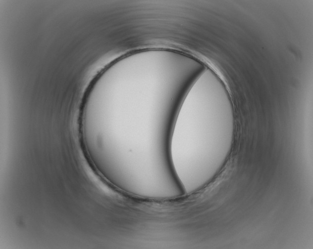 X0000115820995200911131102