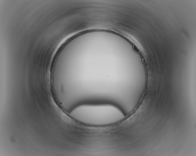 X0000115820996200911131102