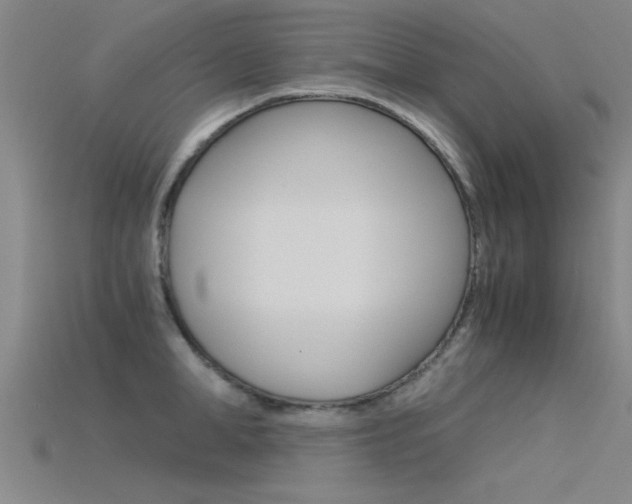 X0000115820998200911131102