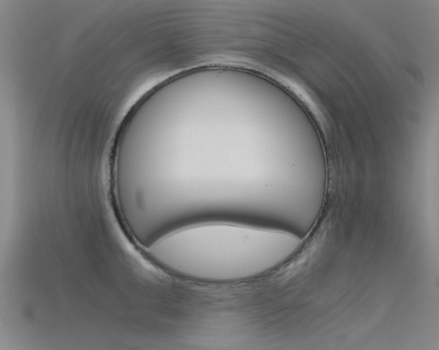 X0000115820999200911131102