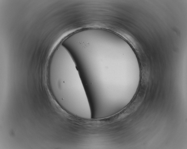 X0000115821000200911131102