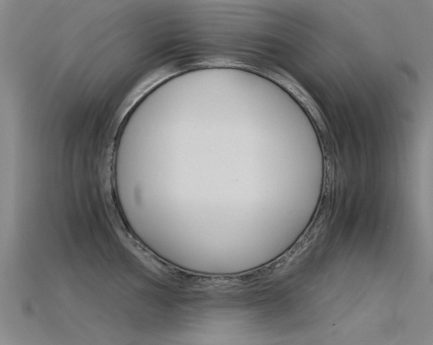 X0000115821002200911131102