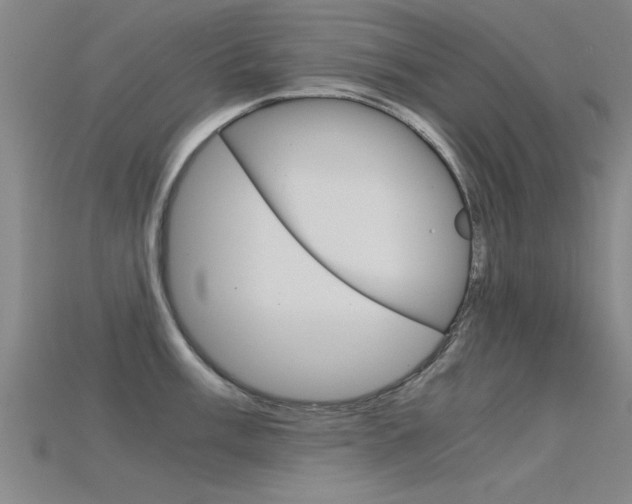 X0000115821003200911131102