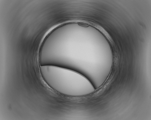 X0000115821004200911131102