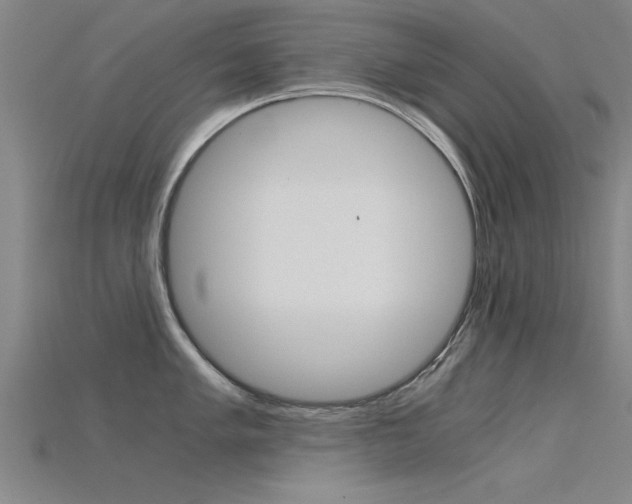 X0000115821005200911131102
