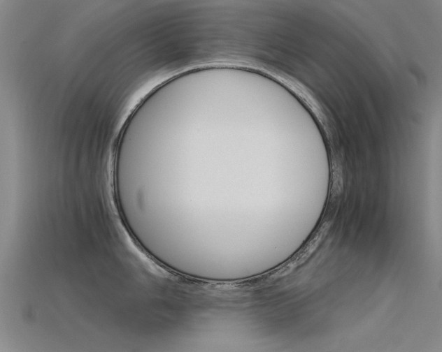 X0000115821006200911131102