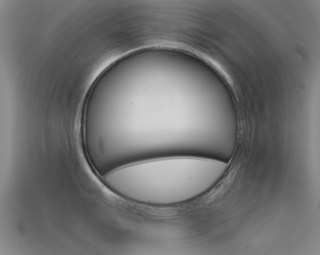X0000115821007200911131102