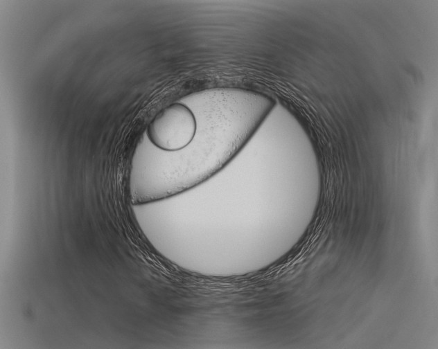 X0000115821010200911131101
