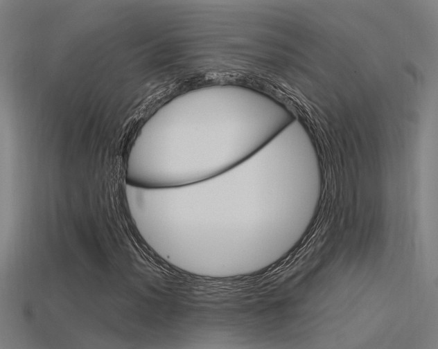 X0000115821012200911131101