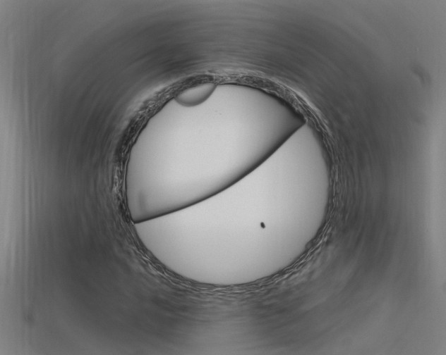 X0000115821016200911131101