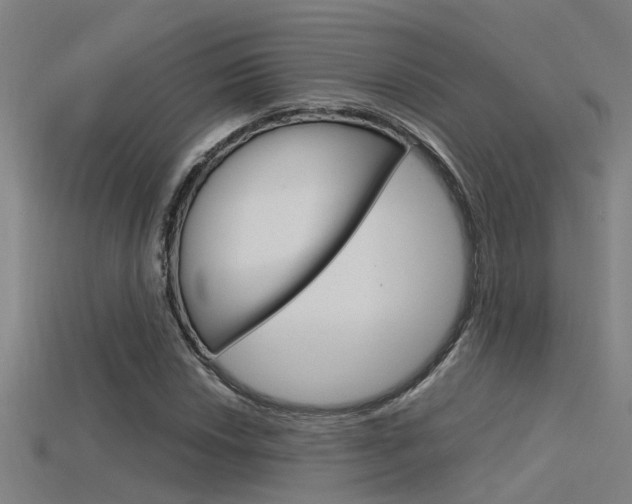 X0000115821018200911131101