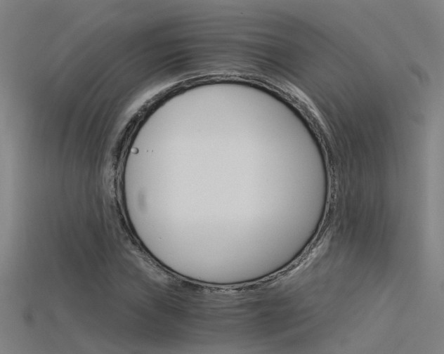 X0000115821019200911131101