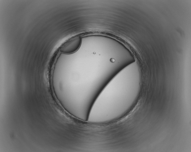 X0000115821022200911131101