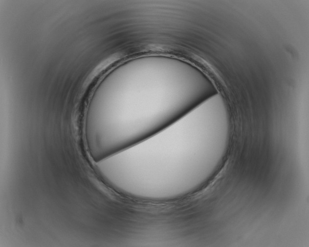 X0000115821026200911131102