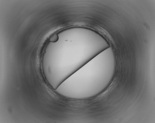 X0000115821027200911131102