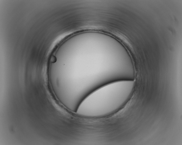 X0000115821030200911131102