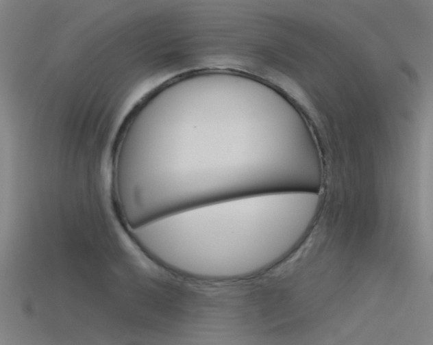 X0000115821032200911131102