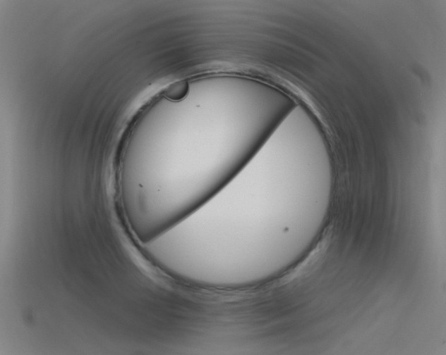 X0000115821034200911131102