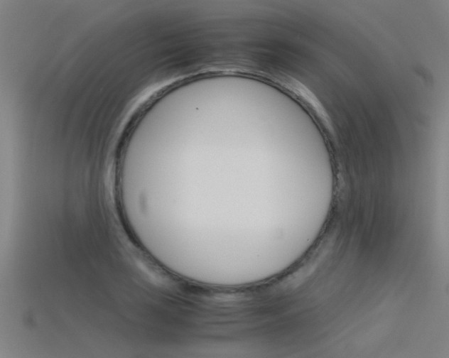 X0000115821035200911131102