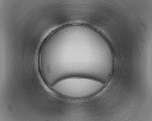 X0000115821038200911131102