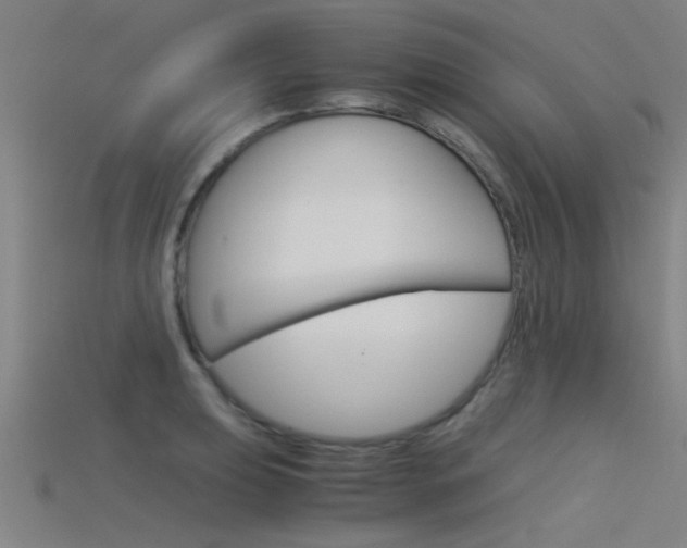 X0000115821039200911131102
