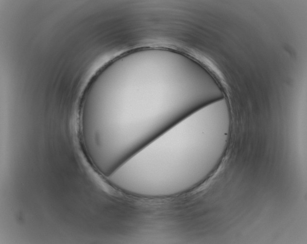 X0000115821040200911131102