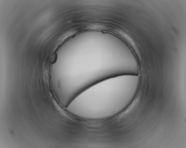 X0000115821041200911131102